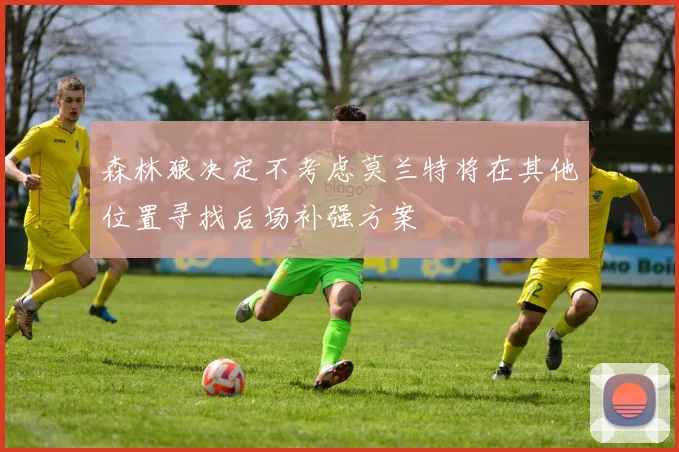 森林狼决定不考虑莫兰特将在其他位置寻找后场补强方案
